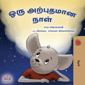 A Wonderful Day (Tamil Children's Book)